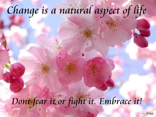 380589_183463041783674_1142140490_n