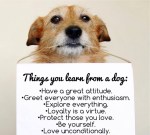 12744285_771033079697514_2353505684115410206_n